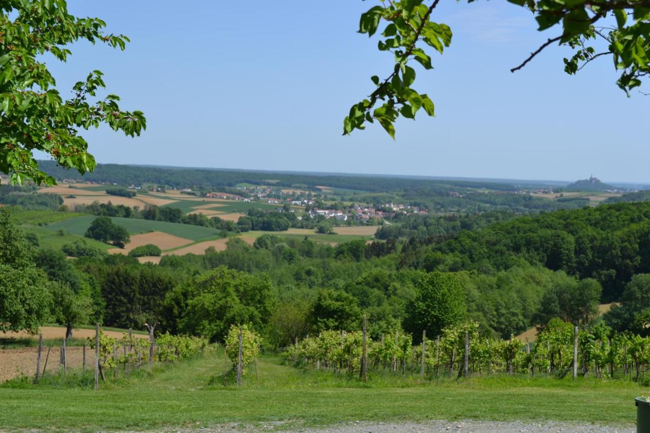 Ferienwohnung Gerersdorf Gerersdorf bei Gussing Bagian luar foto